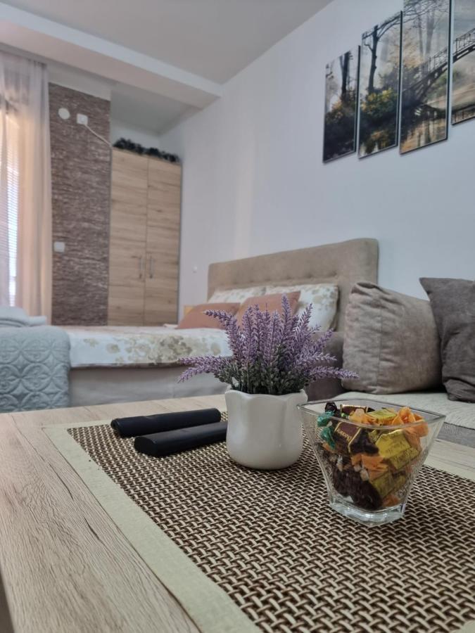 Apartman Temida Lux Vrnjačka Banja Exteriér fotografie